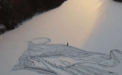 У Фінляндії лопатою намалювали лисицю на крижаному озері (відео)