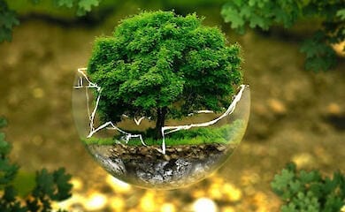 В Киеве приняли экологическую стратегию. Что это значит