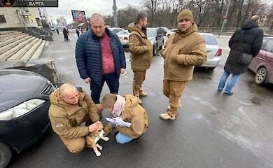 В Киеве остановили дорожное движение ради спасения собаки