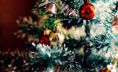 Где в Киеве провести новогодние каникулы