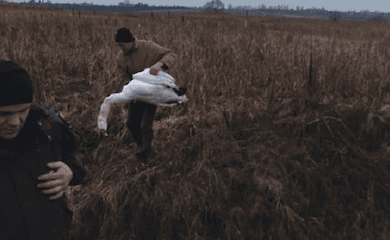 На Волыни неизвестные ради забавы застрелили лебедя