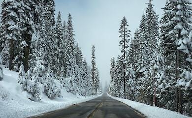 Уборку снега в столице можно будет отследить онлайн