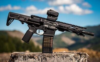 Національний опір вже сьогодні озброять – нардеп