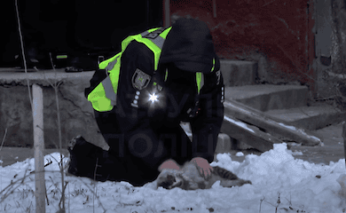 Во Львове патрульные откачали кошку которая надышалась дымом во время пожара