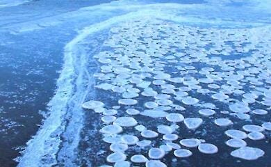 Крижані "медузи": у Бердянську спостерігали рідкісне природне явище (відео)