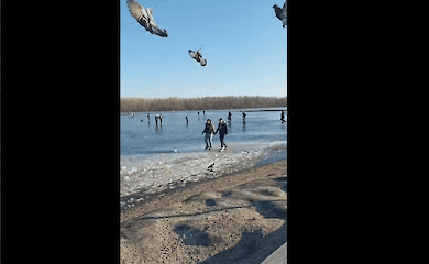 В Днепре по тающему льду реки гуляли люди с детьми (видео)