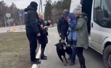 Під Києвом почали евакуацію мешканців Димера
