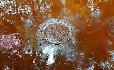 У Європі очікуються "криваві" дощі