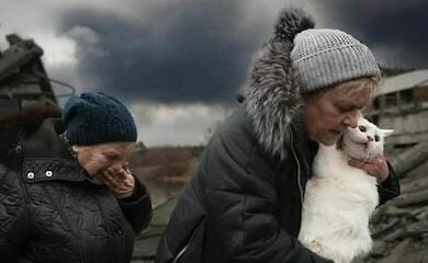 У поліції розповіли, як евакуюватись з домашніми тваринами