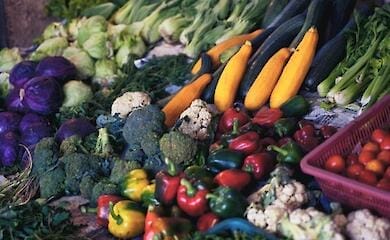 В Украине начала действовать программа бесплатной раздачи продуктов - Шмыгаль