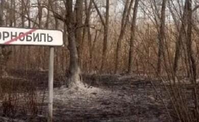 У зоні ЧАЕС горить ліс: подробиці