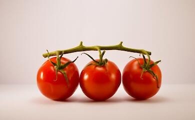Из-за войны в Украине мир ожидает скачок цен на продукты - ООН