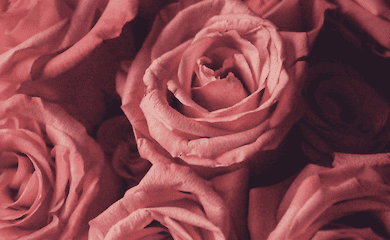 Почему сотрудничать с Flowers.ua - удобно и выгодно?