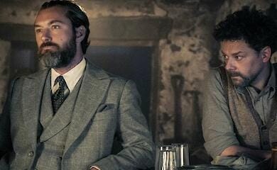 Warner Bros. может завершить «Фантастических тварей» на третьем фильме