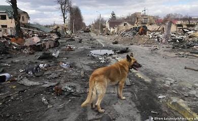 Италия заявила о начале финансирования восстановления Бучи