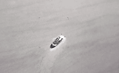 Біля острова Зміїний знищено два катери РФ (відео)