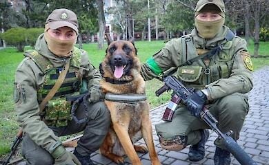Пес, який служив у Росгвардії, перейшов на бік України