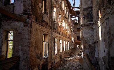 В ООН рассказали, сколько украинцев погибли из-за войны