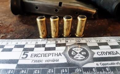 На Одесчине девушка сама себе прострелила ногу: подробности