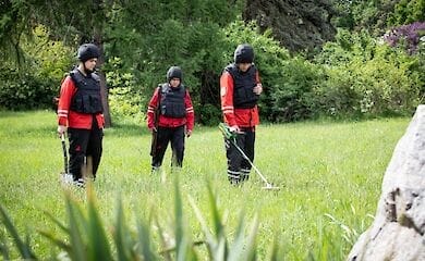 Ботсад имени Гришко проверяют на наличие мин