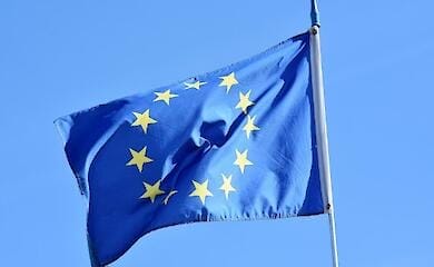 Эксперты рассказали, сколько украинские беженцы могут находиться в ЕС
