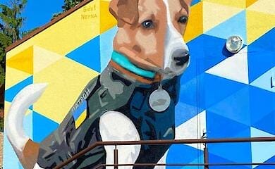 Пес-сапер Патрон з'явився в Києві