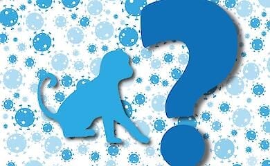 В Польше зафиксировали оспу обезьян