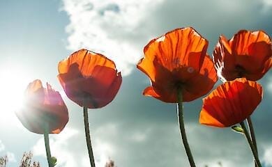 Прогноз погоды на выходные 18–19 июня: жаркий уик-энд с субботними грозами