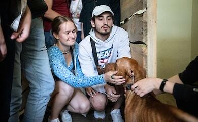 День открытых дверей в приюте для животных: сколько киевлян "усыновили" собак