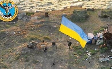 На Змеином обнаужен и эвакуирован на подконтрольную Украине территорию кот