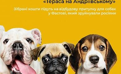 У Києві відбудеться благодійна барахолка для збирання коштів на собачий притулок, зруйнований рашистами