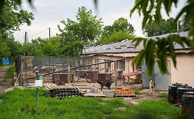 У Гостомельському притулку відремонтували дах, що був зруйнований під час окупації