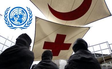 За що українці критикують міжнародні організації та чи є альтернатива