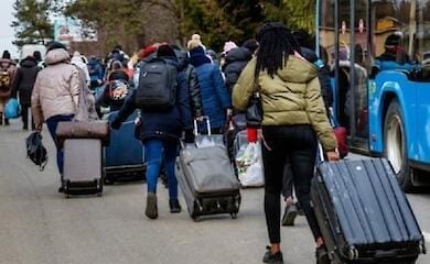 Організація ЮНІСЕФ припинила прийом заявок на виплати для переселенців