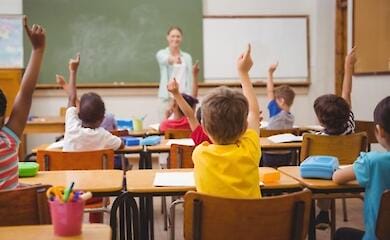 41% учебных заведений готов к очной форме обучения