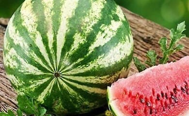 У Южному продали херсонський кавун за 2 000 гривень