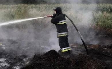 Під Києвом знову пожежі, а в столиці – нема чим дихати