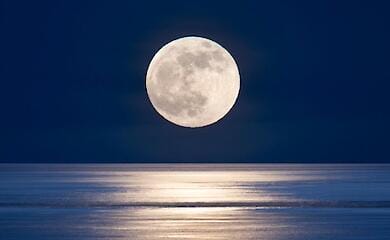 Вчені заявили, що у Всесвіті ми все ж таки не одні