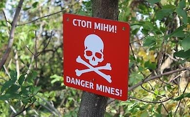 ГСЧС: Разминирование лесов в Киевской области займет около года