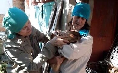 Тимко живий: стала відома доля бабака-віщуна