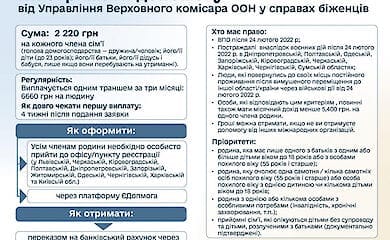 У Кабміні розповіли, хто може отримати допомогу від міжнародних організацій