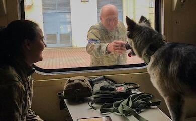 Нашли новый дом: где будет жить пес, который пришел к украинским военным