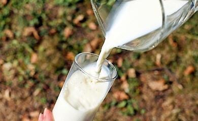 Україна встановила рекорд за експортом молочних продуктів