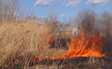 В Украине суд впервые обязал поджигателя травы выплатить компенсацию