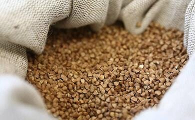 Фахівці прогнозують зниження вартості гречки