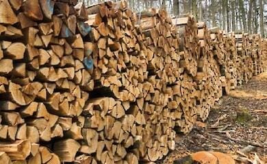 Як придбати дрова на зиму в Україні