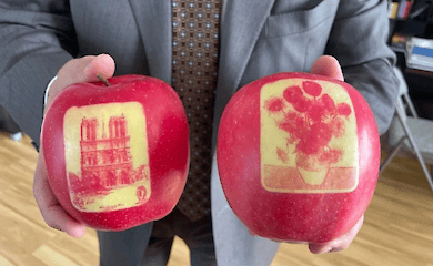 В Японії виростили яблука з малюнками пам'яток архітектури та відомих картин