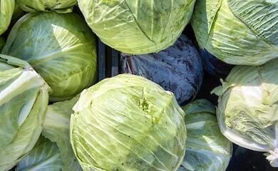 Які продукти поліпшать роботу печінки