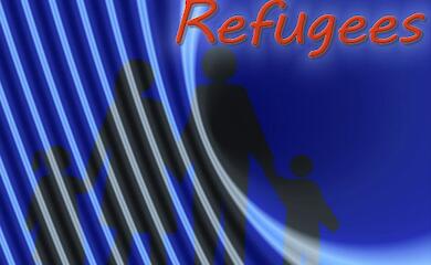 Украинцев призвали не ехать в Ирландию до середины января