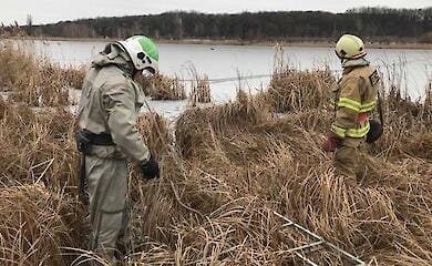 В Киевской области спасатели достали из озера раненого олененка